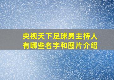 央视天下足球男主持人有哪些名字和图片介绍