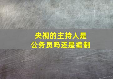 央视的主持人是公务员吗还是编制