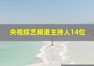 央视综艺频道主持人14位