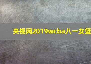 央视网2019wcba八一女篮