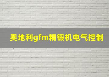 奥地利gfm精锻机电气控制