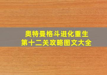 奥特曼格斗进化重生第十二关攻略图文大全