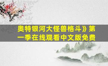 奥特银河大怪兽格斗》第一季在线观看中文版免费