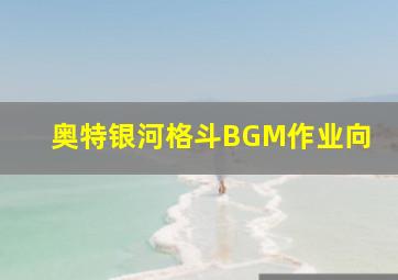 奥特银河格斗BGM作业向