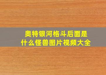 奥特银河格斗后面是什么怪兽图片视频大全