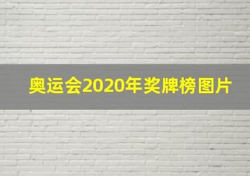 奥运会2020年奖牌榜图片