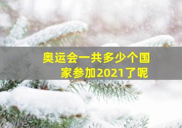 奥运会一共多少个国家参加2021了呢