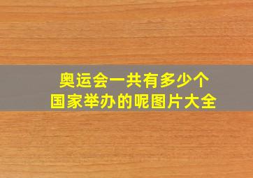 奥运会一共有多少个国家举办的呢图片大全