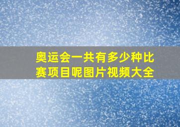 奥运会一共有多少种比赛项目呢图片视频大全