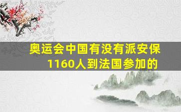 奥运会中国有没有派安保1160人到法国参加的