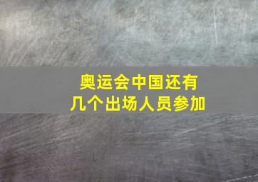 奥运会中国还有几个出场人员参加