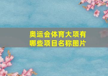 奥运会体育大项有哪些项目名称图片