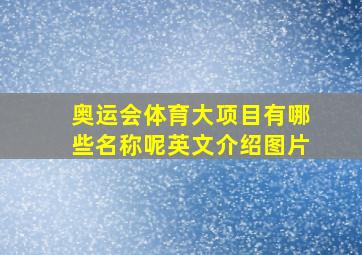 奥运会体育大项目有哪些名称呢英文介绍图片