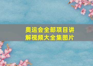 奥运会全部项目讲解视频大全集图片