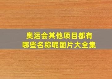 奥运会其他项目都有哪些名称呢图片大全集