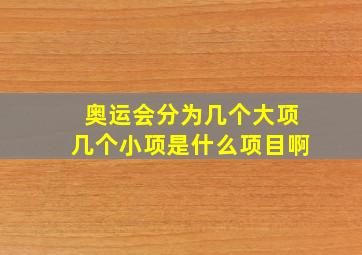 奥运会分为几个大项几个小项是什么项目啊