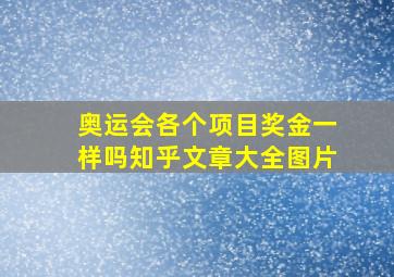 奥运会各个项目奖金一样吗知乎文章大全图片