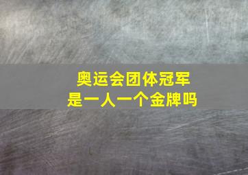 奥运会团体冠军是一人一个金牌吗