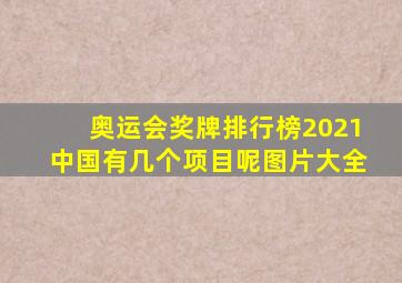 奥运会奖牌排行榜2021中国有几个项目呢图片大全