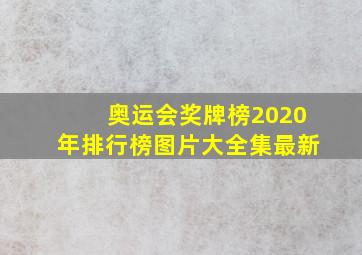 奥运会奖牌榜2020年排行榜图片大全集最新