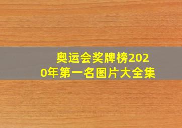 奥运会奖牌榜2020年第一名图片大全集