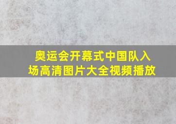 奥运会开幕式中国队入场高清图片大全视频播放