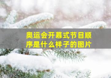 奥运会开幕式节目顺序是什么样子的图片