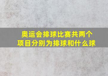 奥运会排球比赛共两个项目分别为排球和什么球