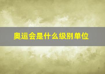 奥运会是什么级别单位