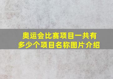 奥运会比赛项目一共有多少个项目名称图片介绍