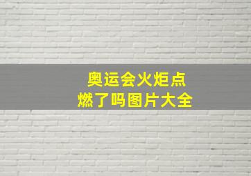 奥运会火炬点燃了吗图片大全