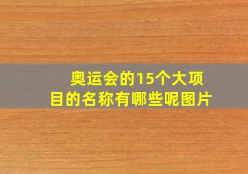 奥运会的15个大项目的名称有哪些呢图片