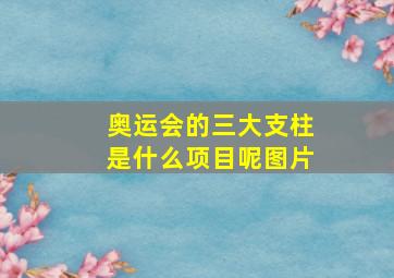 奥运会的三大支柱是什么项目呢图片