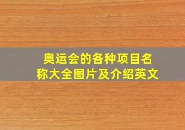 奥运会的各种项目名称大全图片及介绍英文