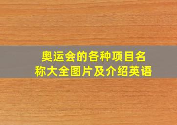 奥运会的各种项目名称大全图片及介绍英语