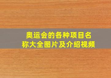 奥运会的各种项目名称大全图片及介绍视频