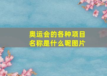 奥运会的各种项目名称是什么呢图片