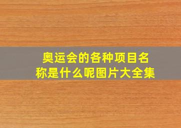 奥运会的各种项目名称是什么呢图片大全集