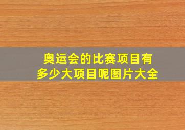 奥运会的比赛项目有多少大项目呢图片大全