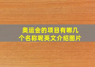 奥运会的项目有哪几个名称呢英文介绍图片