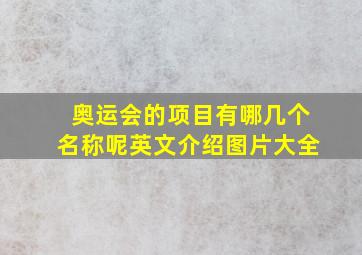 奥运会的项目有哪几个名称呢英文介绍图片大全