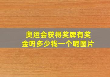 奥运会获得奖牌有奖金吗多少钱一个呢图片