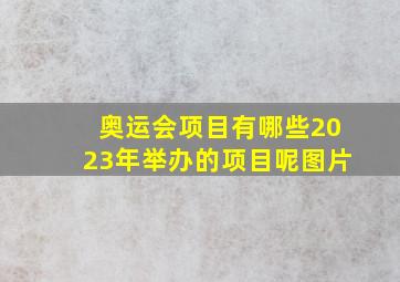 奥运会项目有哪些2023年举办的项目呢图片