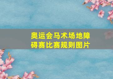 奥运会马术场地障碍赛比赛规则图片