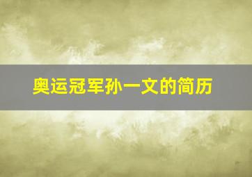 奥运冠军孙一文的简历