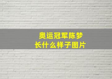 奥运冠军陈梦长什么样子图片