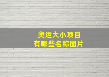 奥运大小项目有哪些名称图片