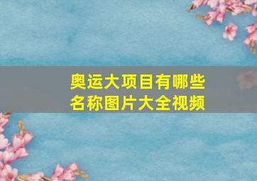 奥运大项目有哪些名称图片大全视频