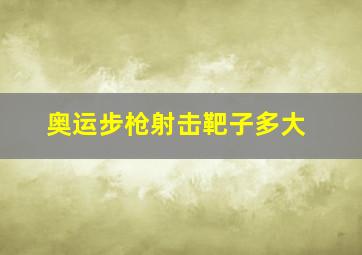 奥运步枪射击靶子多大