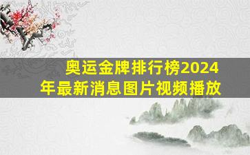 奥运金牌排行榜2024年最新消息图片视频播放